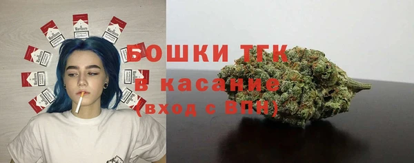 винт Бородино