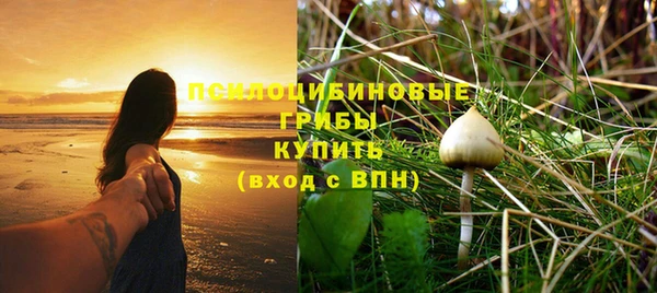 шишки Бугульма