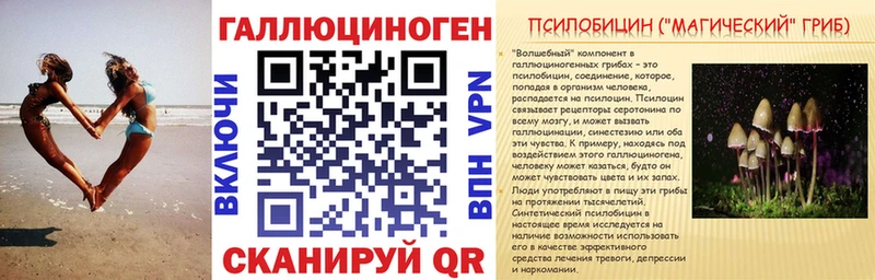 сайты даркнета как зайти  Новосибирск  Галлюциногенные грибы мухоморы 