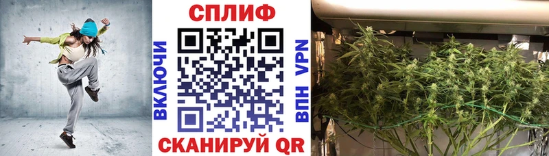 kraken ссылки  Новосибирск  Бошки марихуана VHQ  наркошоп 